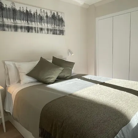 Olive Saint-Jacques-de-Compostelle