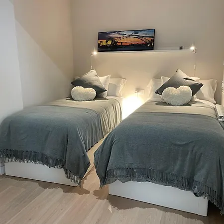 Olive Saint-Jacques-de-Compostelle