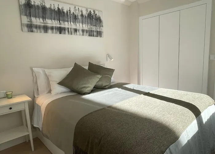 Olive Santiago de Compostela