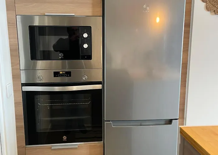 Olive * Santiago de Compostela