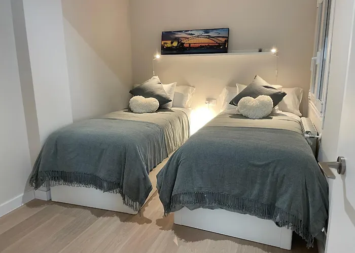 Olive Santiago de Compostela