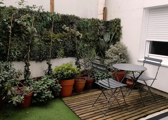 Olive * Santiago de Compostela