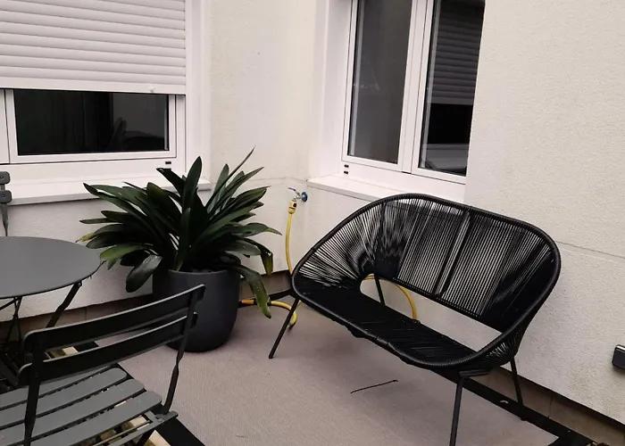 Olive * Santiago de Compostela